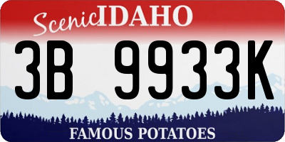 ID license plate 3B9933K
