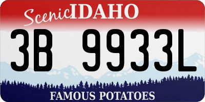 ID license plate 3B9933L