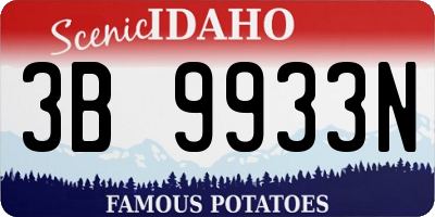 ID license plate 3B9933N