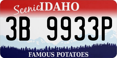 ID license plate 3B9933P