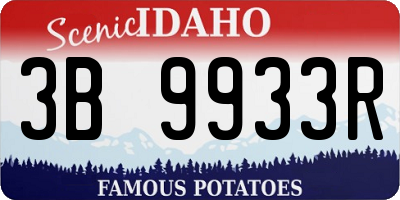 ID license plate 3B9933R