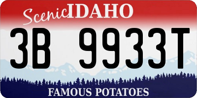 ID license plate 3B9933T