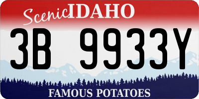 ID license plate 3B9933Y