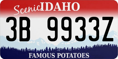 ID license plate 3B9933Z