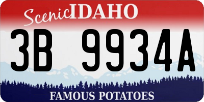 ID license plate 3B9934A