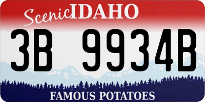 ID license plate 3B9934B