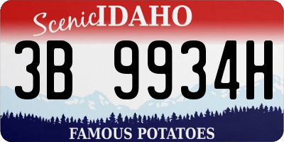 ID license plate 3B9934H