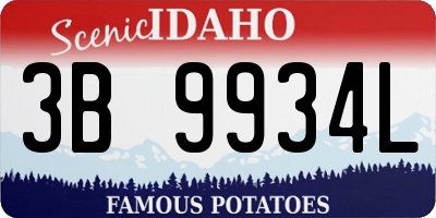 ID license plate 3B9934L