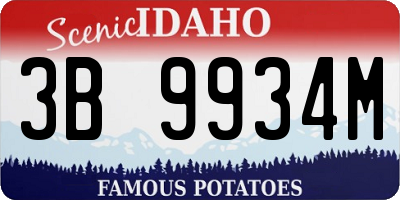 ID license plate 3B9934M