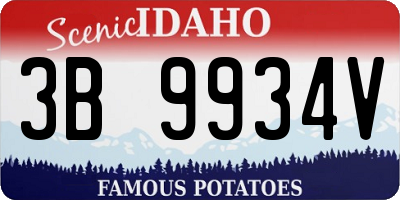 ID license plate 3B9934V