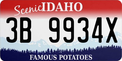 ID license plate 3B9934X