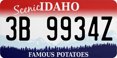 ID license plate 3B9934Z