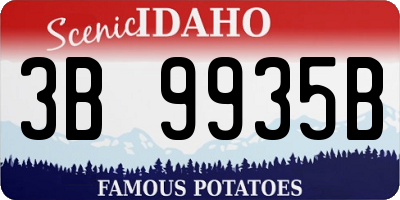 ID license plate 3B9935B