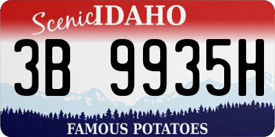 ID license plate 3B9935H
