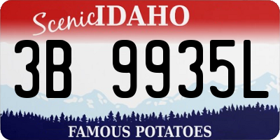 ID license plate 3B9935L
