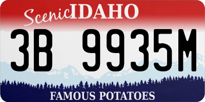 ID license plate 3B9935M