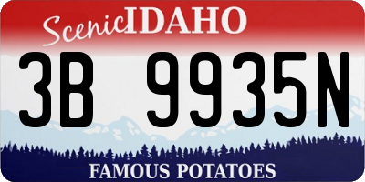 ID license plate 3B9935N