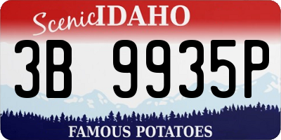 ID license plate 3B9935P
