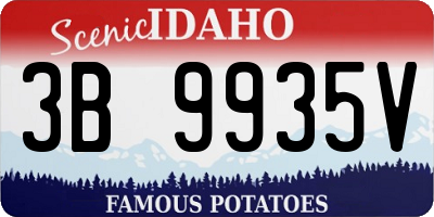 ID license plate 3B9935V