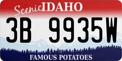 ID license plate 3B9935W