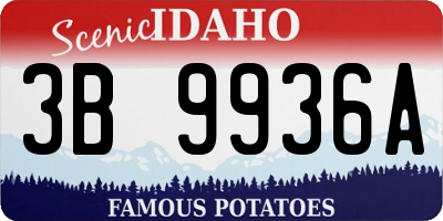ID license plate 3B9936A