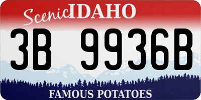 ID license plate 3B9936B