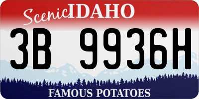 ID license plate 3B9936H