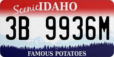 ID license plate 3B9936M