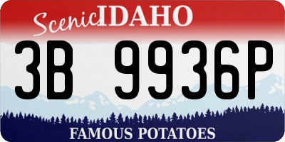 ID license plate 3B9936P