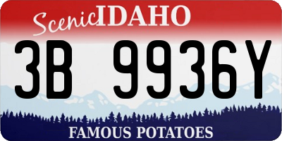 ID license plate 3B9936Y