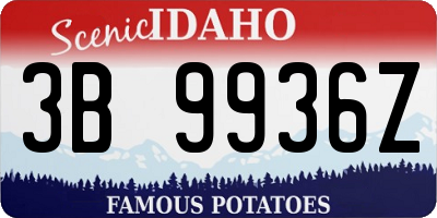 ID license plate 3B9936Z