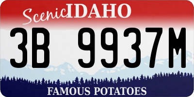 ID license plate 3B9937M