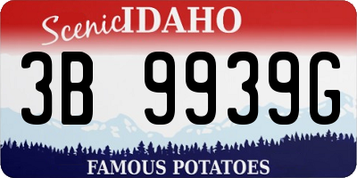 ID license plate 3B9939G