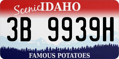 ID license plate 3B9939H