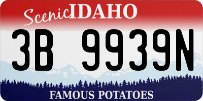 ID license plate 3B9939N
