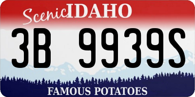 ID license plate 3B9939S