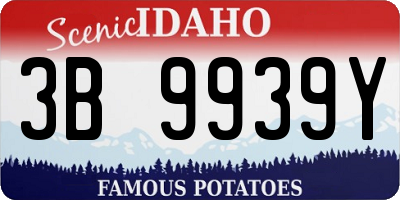 ID license plate 3B9939Y
