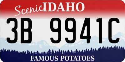 ID license plate 3B9941C