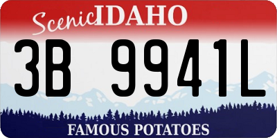 ID license plate 3B9941L