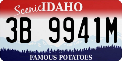 ID license plate 3B9941M