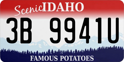 ID license plate 3B9941U