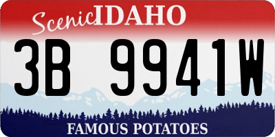 ID license plate 3B9941W