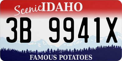 ID license plate 3B9941X