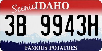 ID license plate 3B9943H