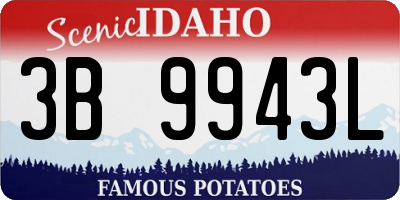 ID license plate 3B9943L