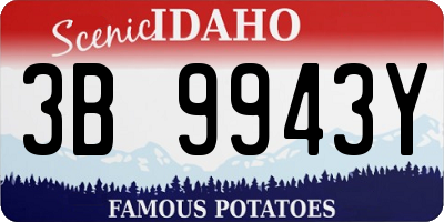 ID license plate 3B9943Y