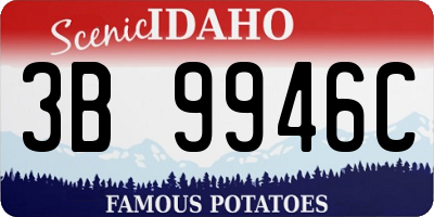 ID license plate 3B9946C