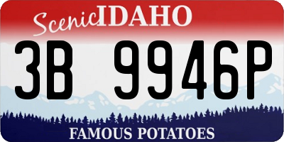 ID license plate 3B9946P