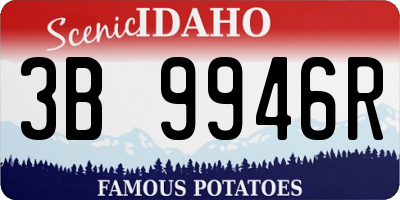ID license plate 3B9946R