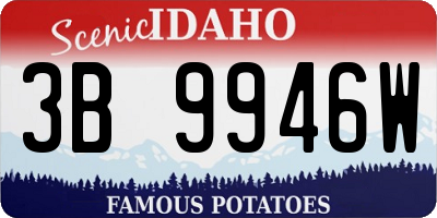 ID license plate 3B9946W